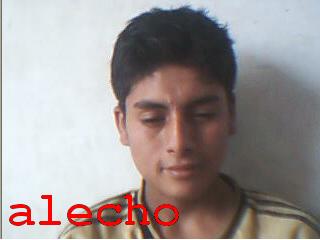 alecho2.jpg